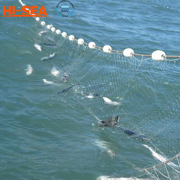 Gill Net - Fishing Nets - Hi-sea